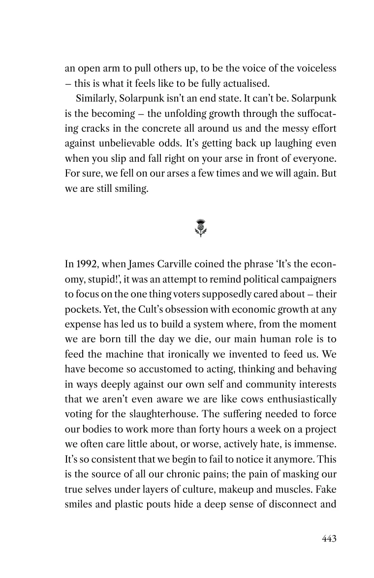 Printed page 443 of It's The Environment, Stupid!