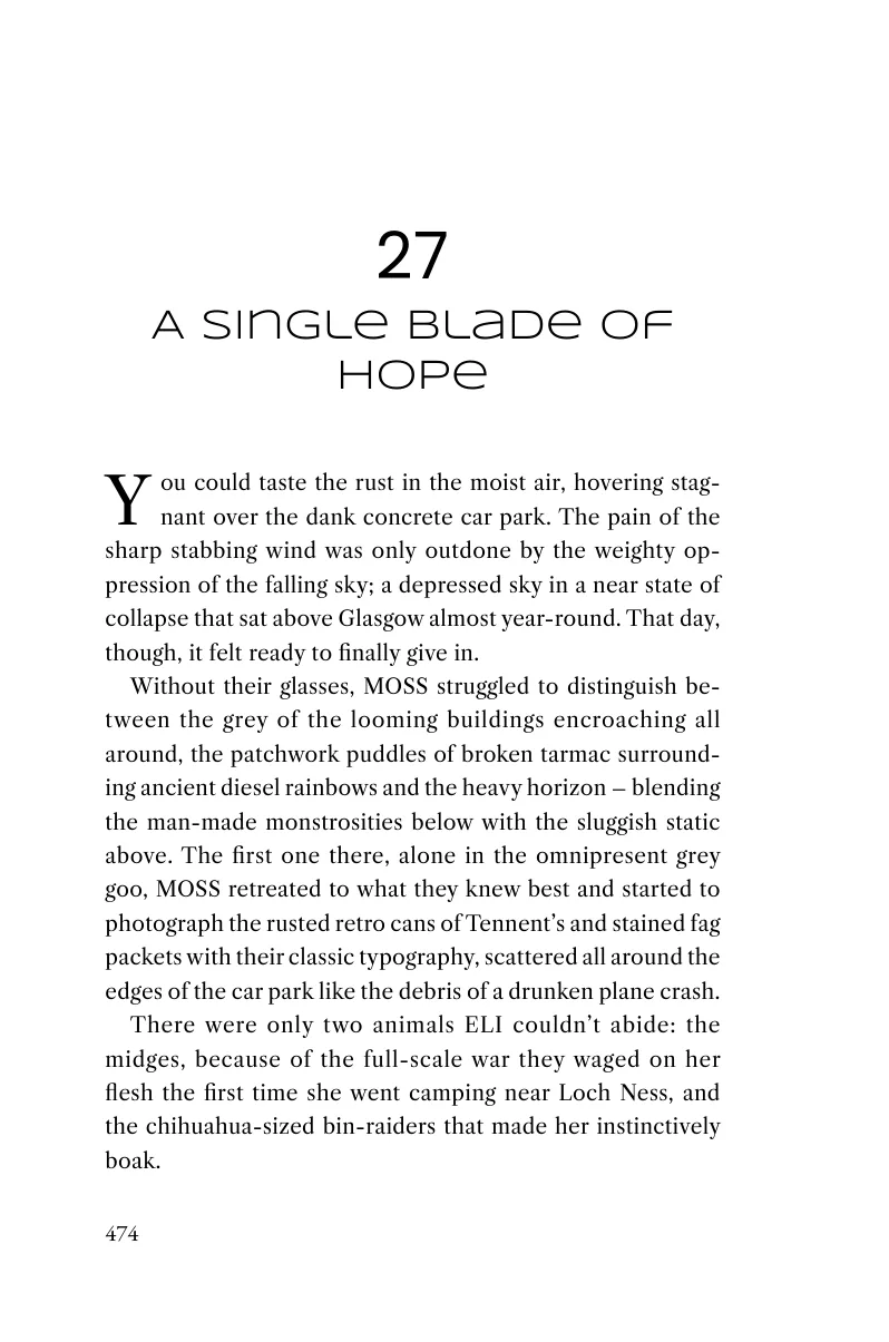 Printed page 474 of A Single Blade of Hope